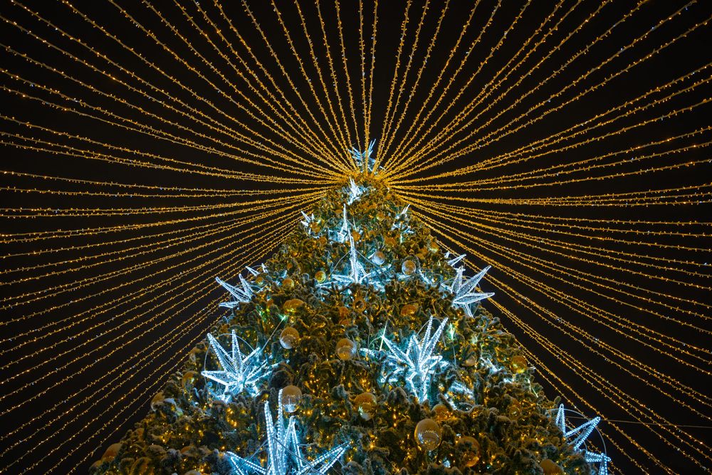 Photograph by Игорь Скорняков