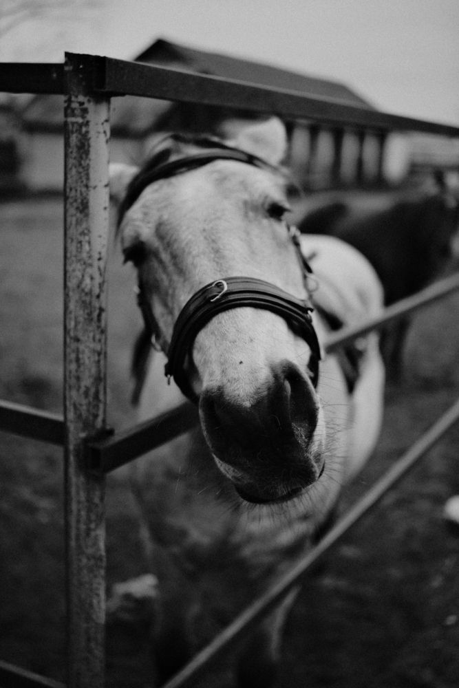 Photograph by Кирилл Царев