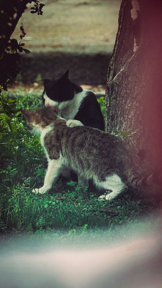Photograph by Parsa Mohammadinejad