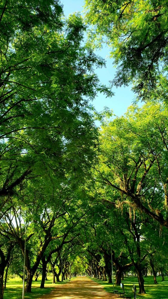 Photograph by Rafael Ramalho Rolim