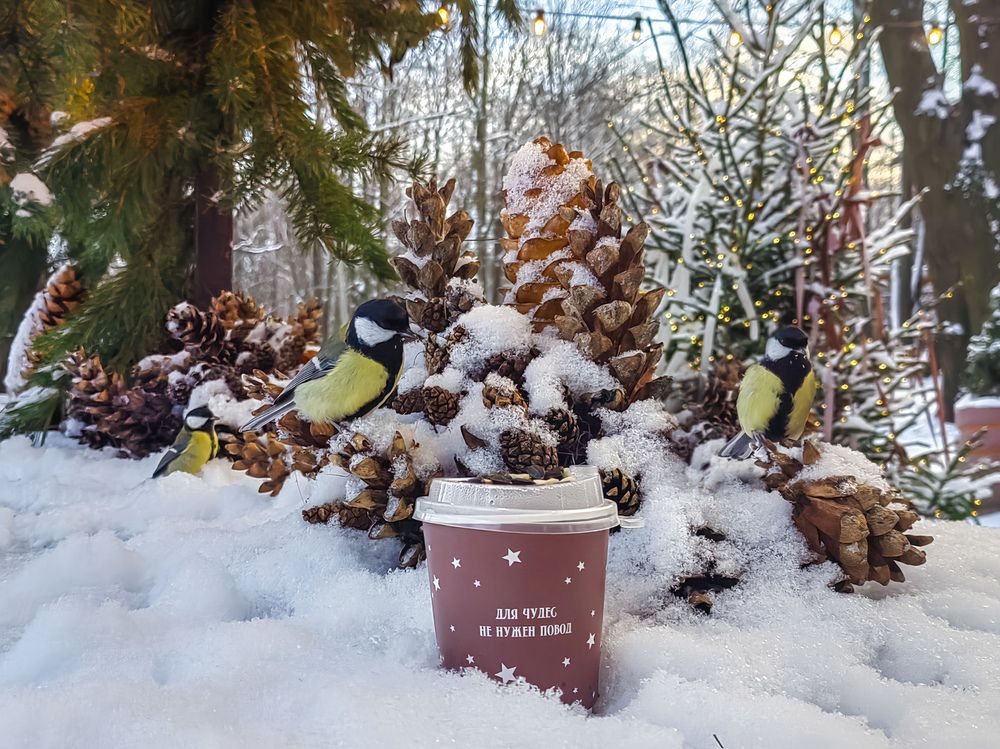 Photograph by Мария Самохвалова