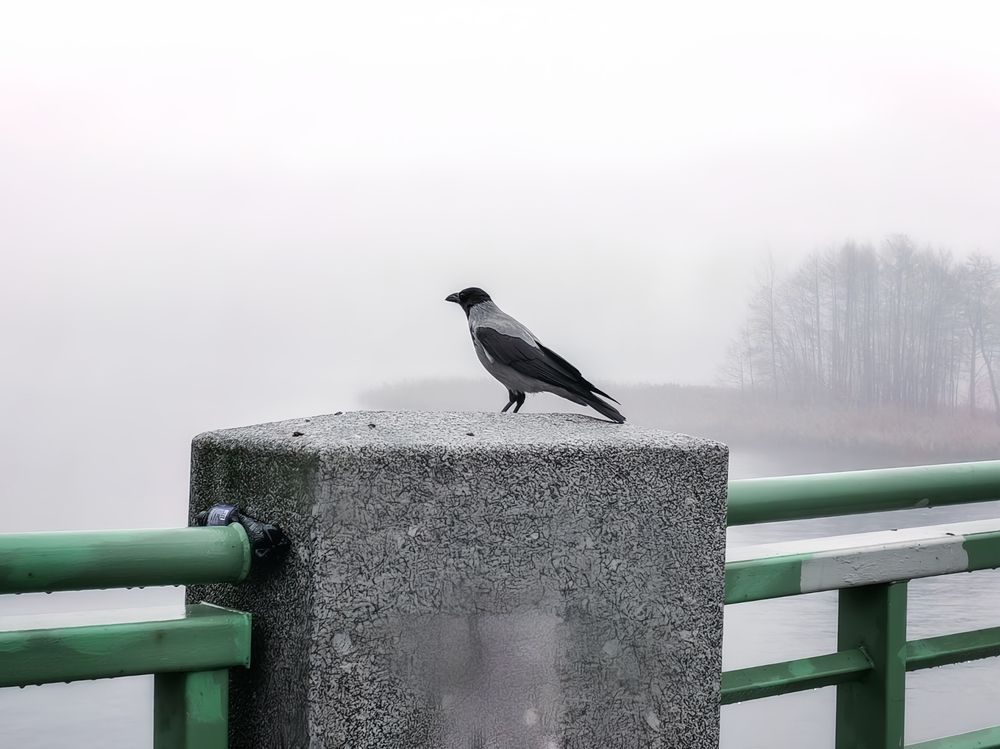 Photograph by Мария Самохвалова