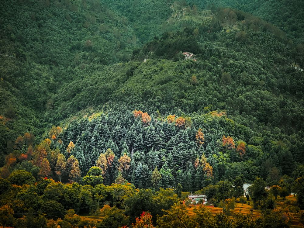 Photograph by Rakshit Sah