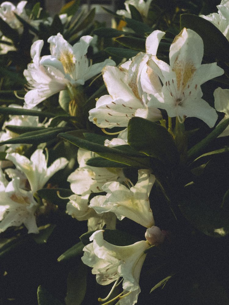 Фотография автора Виктория Ступина