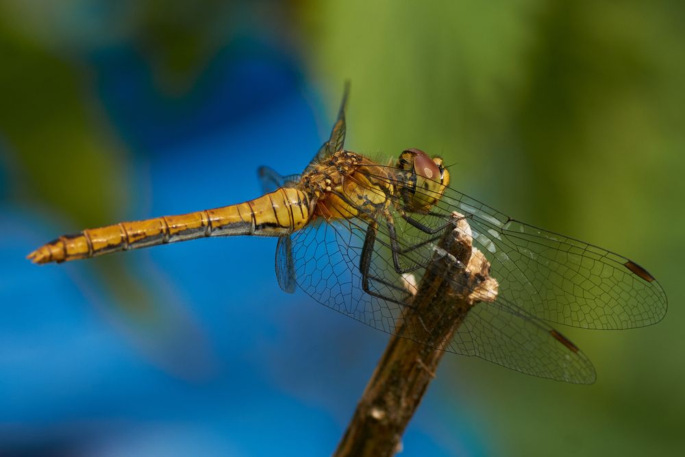 Photograph by сергей воробьёв