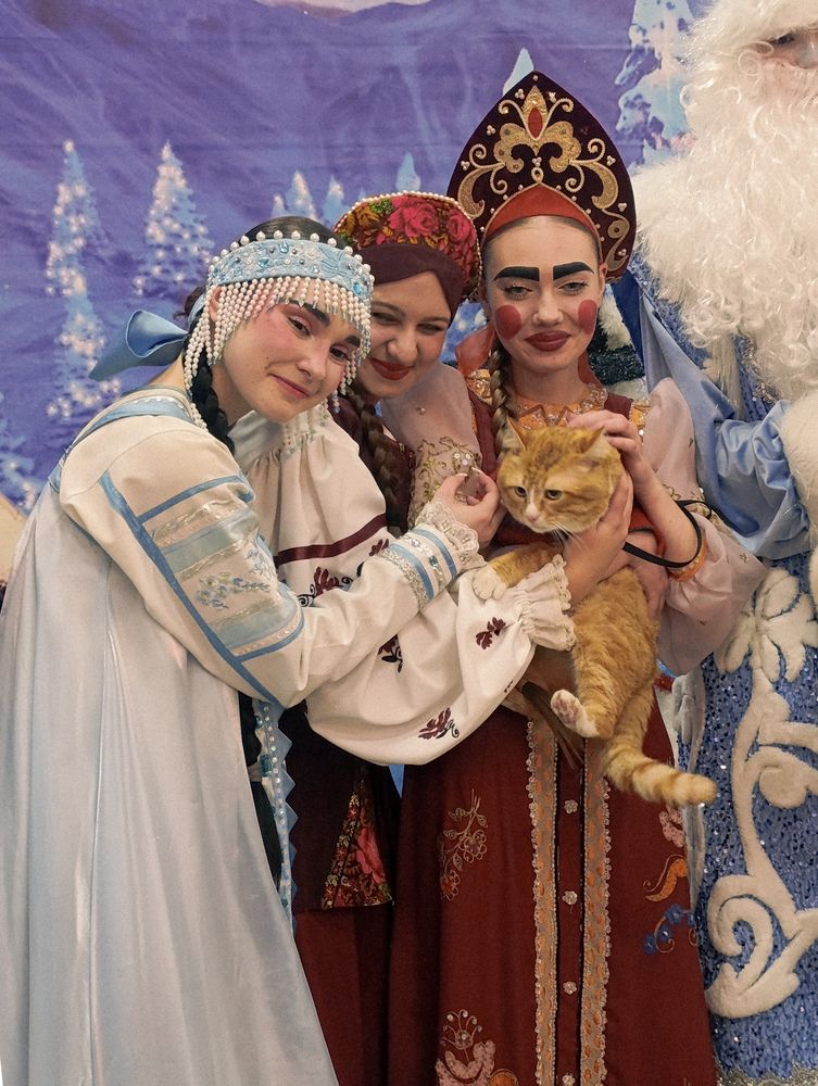 Фотография автора Виктория Ступина