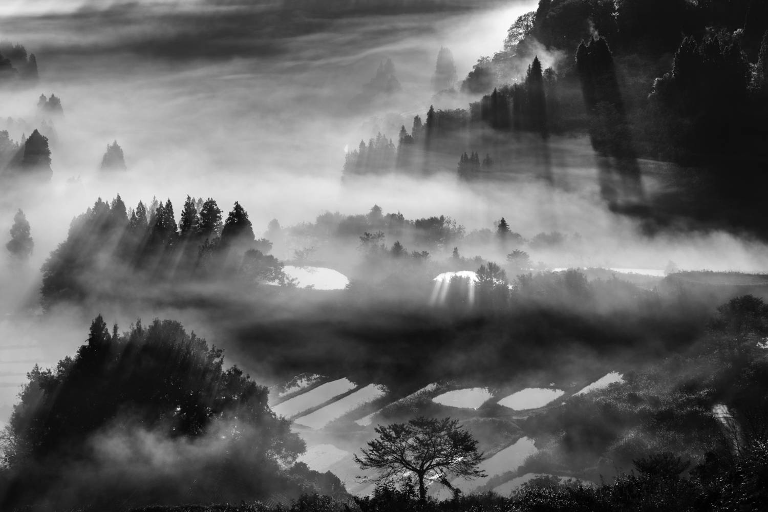 Фотография #13051224