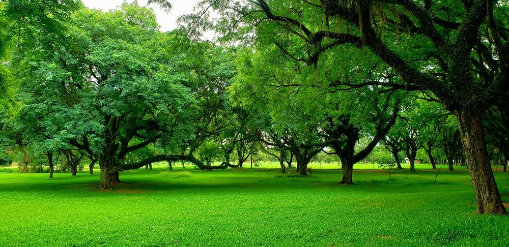 Photograph by Rafael Ramalho Rolim