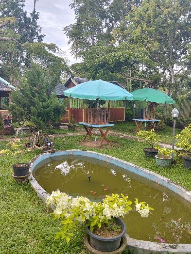 Photograph by Adal Adams Adal