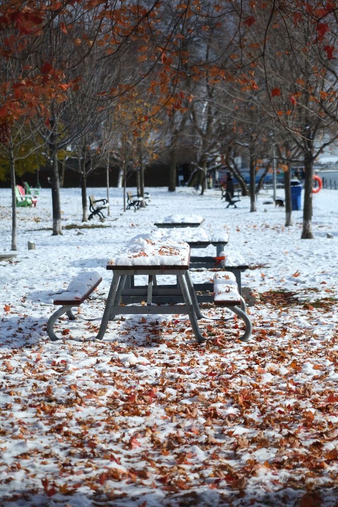 Photograph by Елена Хорошильцева