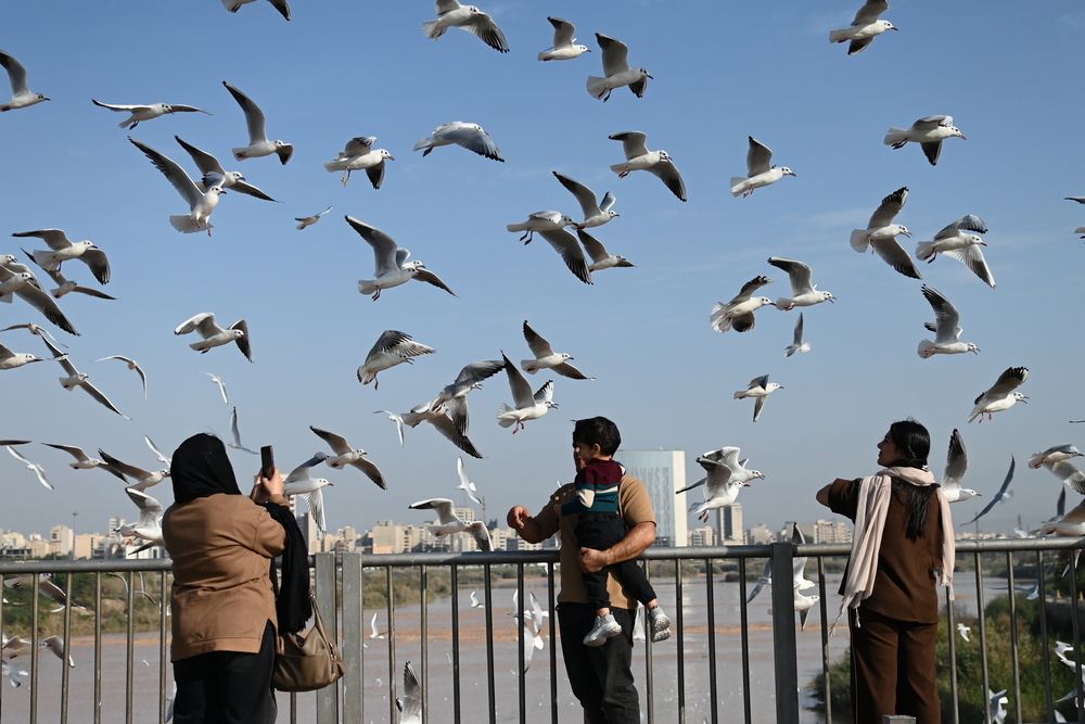 Photograph by mohsen  ali nikpour