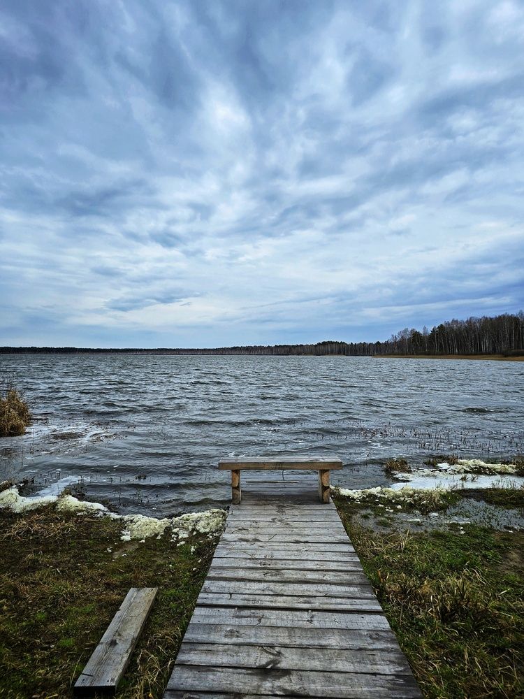 Photograph by Алла Шикина