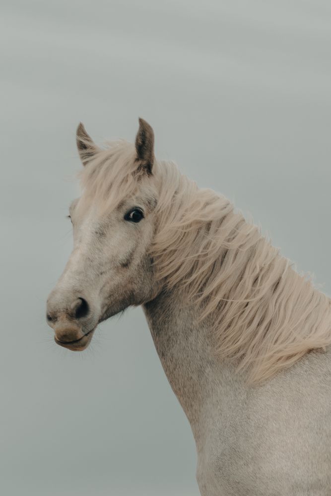 Photograph by Галина Фролова