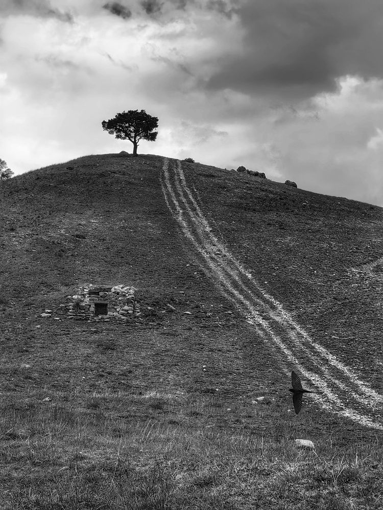 Photograph by OLGA MIKHNEVICH