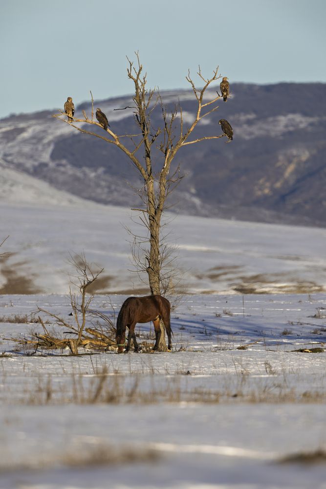 Photograph by Дмитрий Крошка