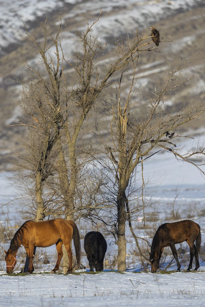 Photograph by Дмитрий Крошка