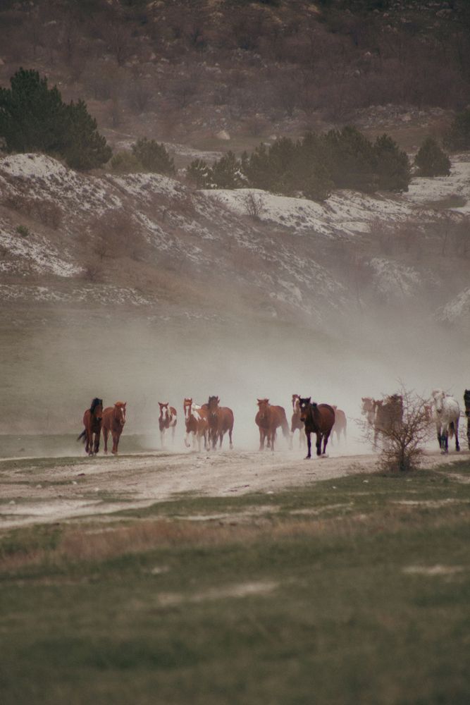 Photograph by Галина Фролова