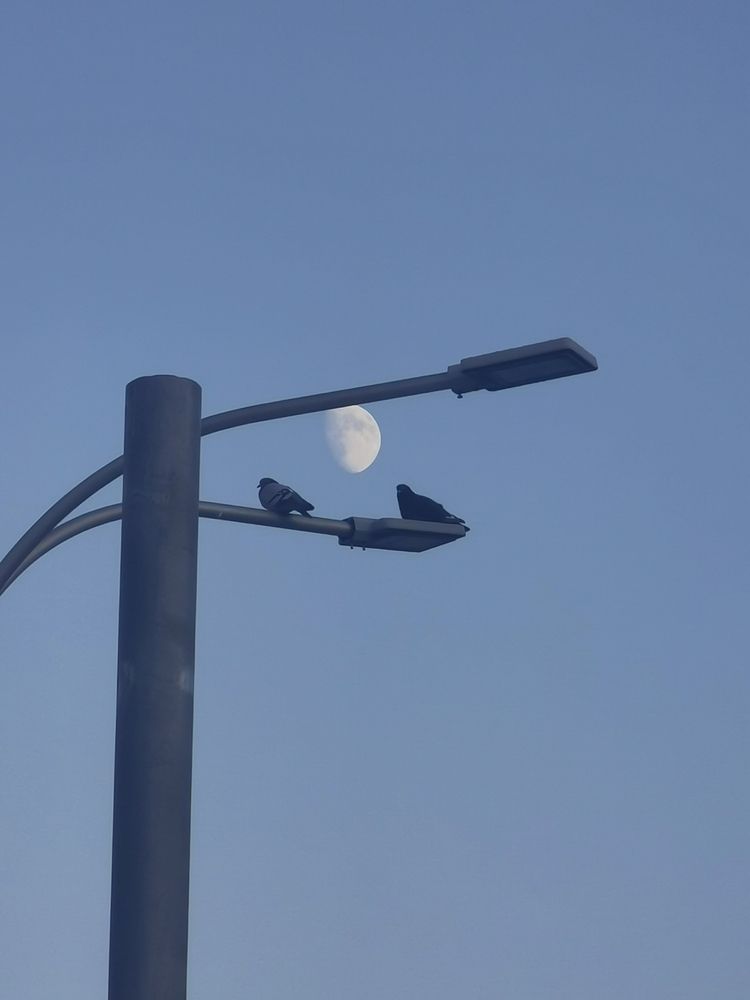 Фотография автора Виталий Гавронский