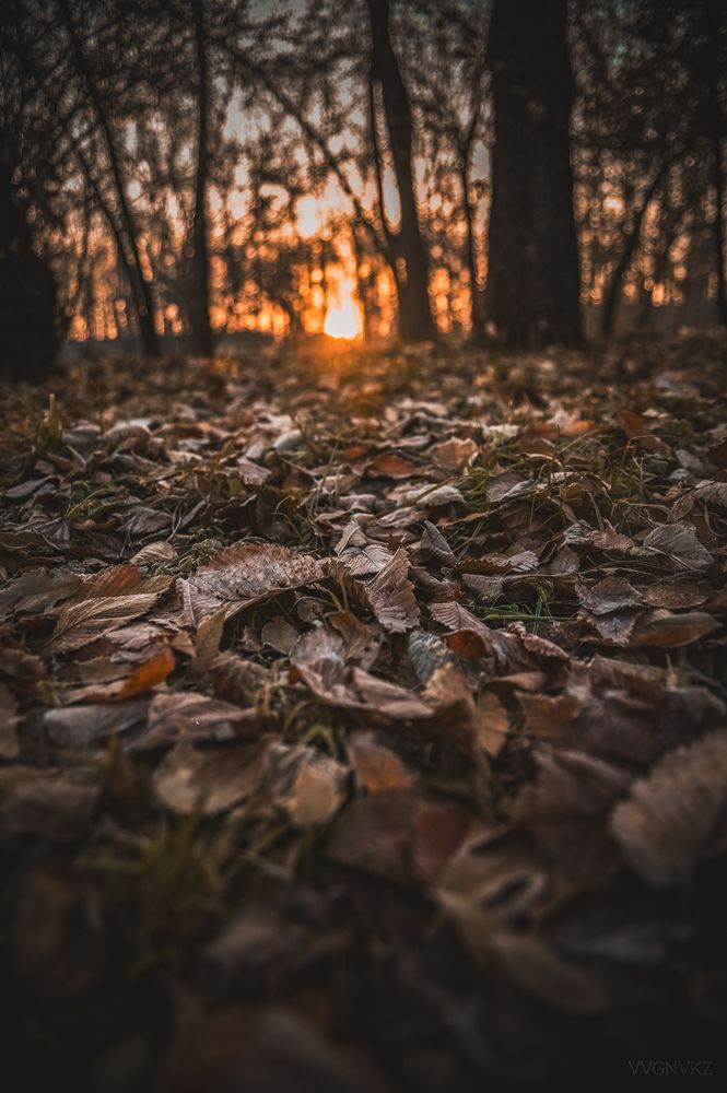Фотография автора Виталий Гавронский