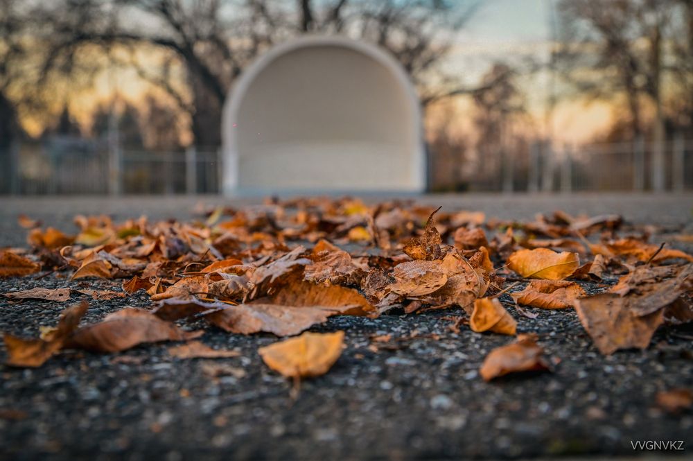 Фотография автора Виталий Гавронский