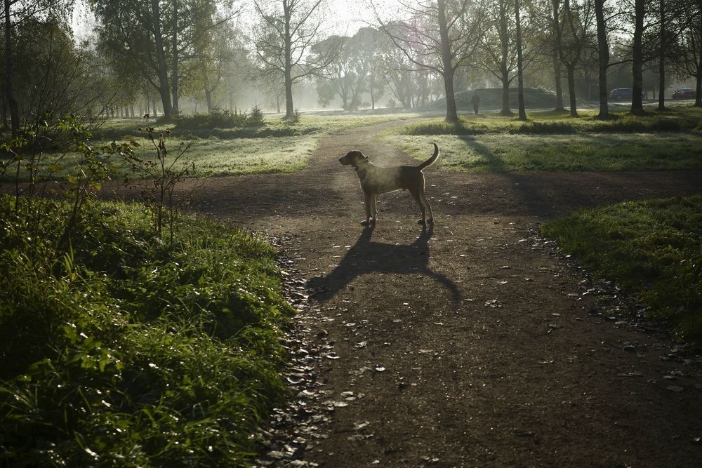 Photograph by Яна Егорова