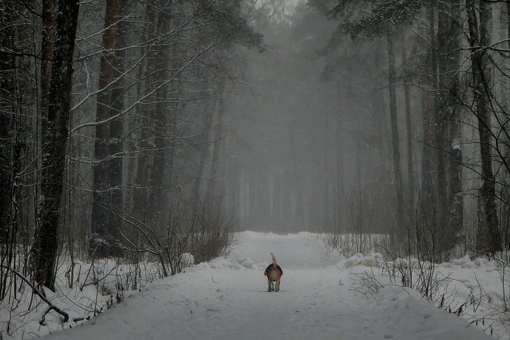 Photograph by Яна Егорова