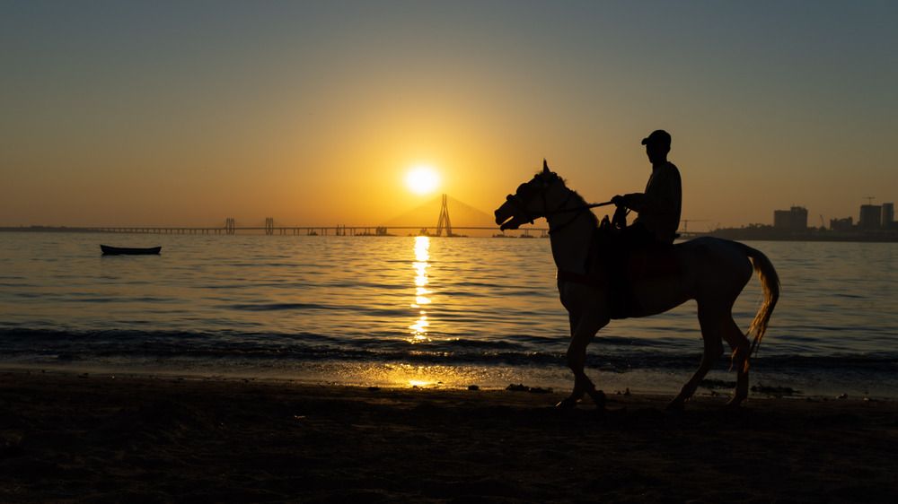 Фотография автора Kushal Lad