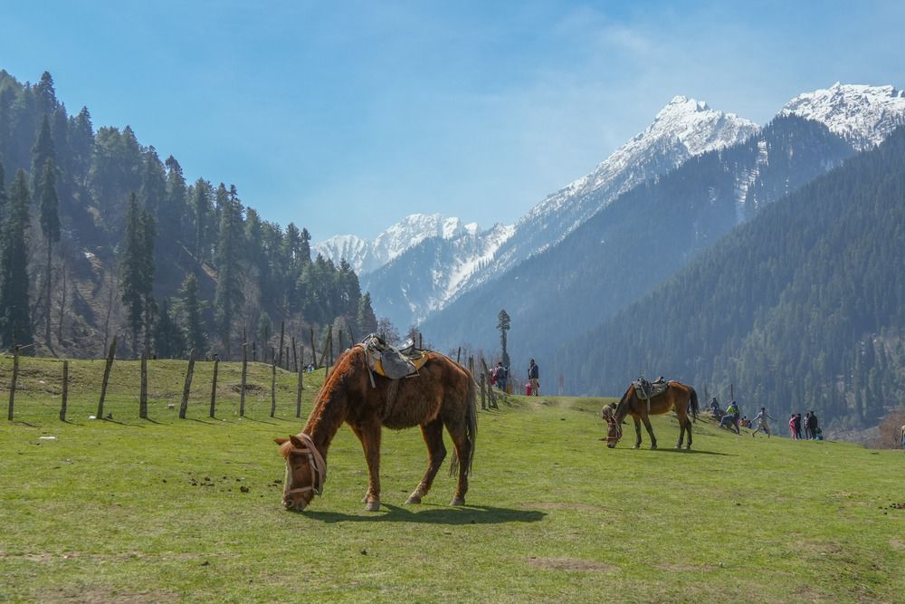 Фотография автора Kushal Lad