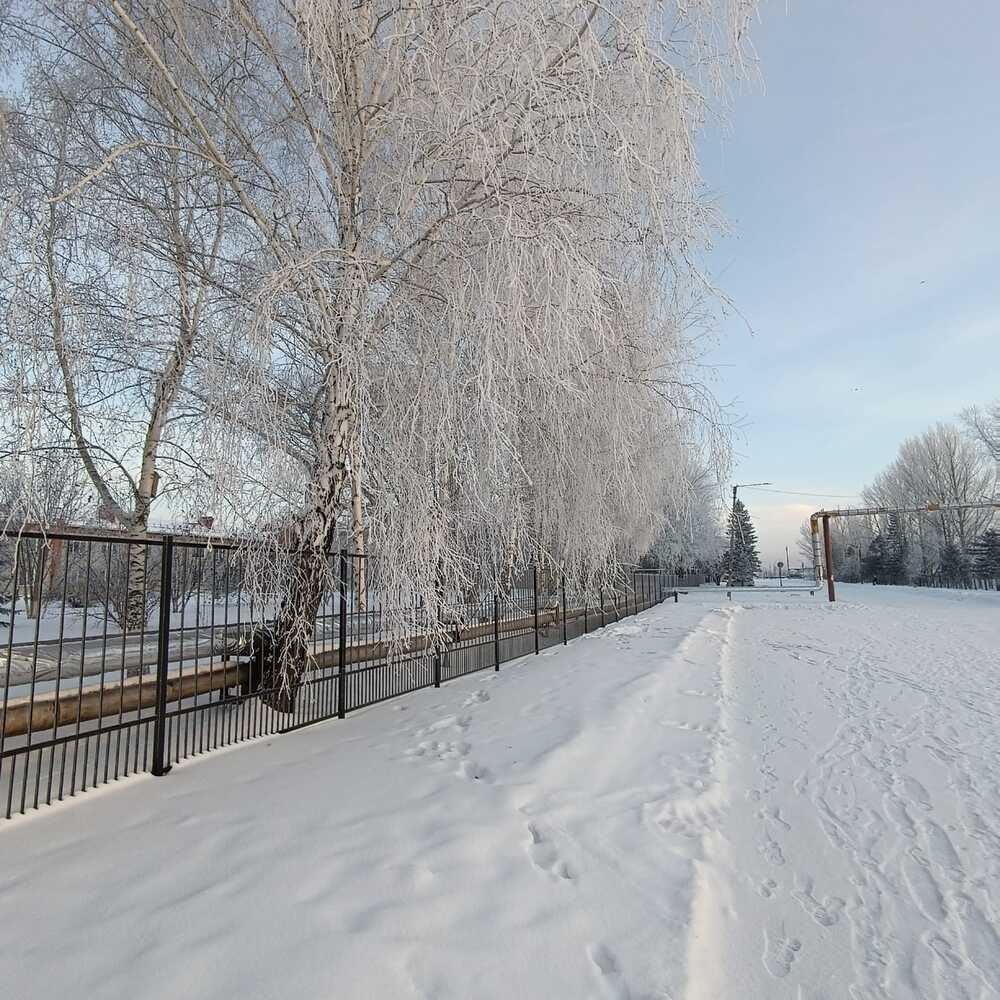 Фотография автора Елена Колышева
