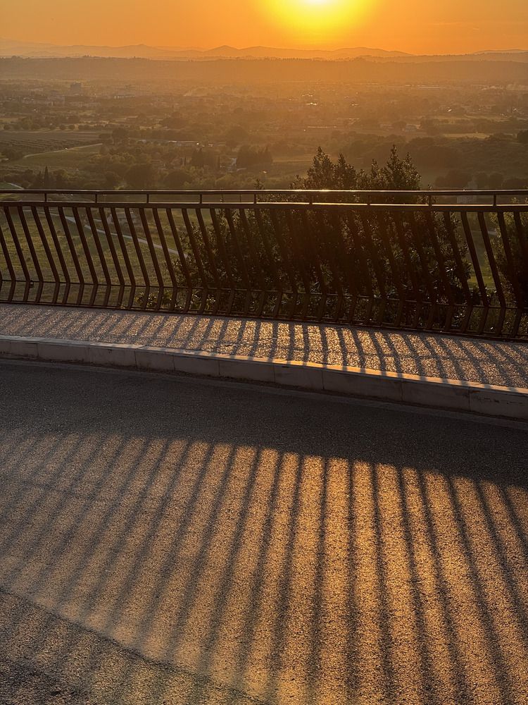 The Sunset