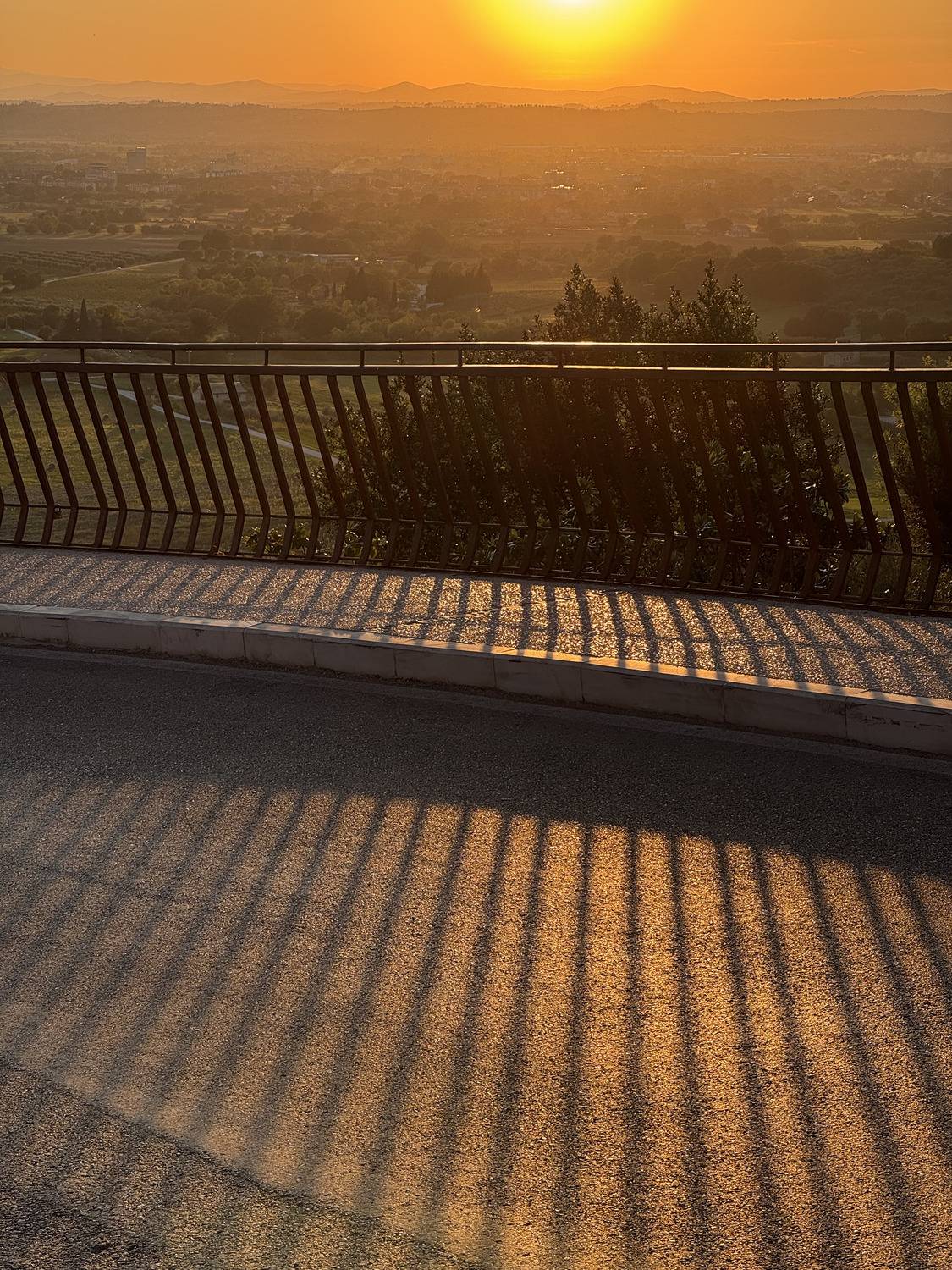 The Sunset
