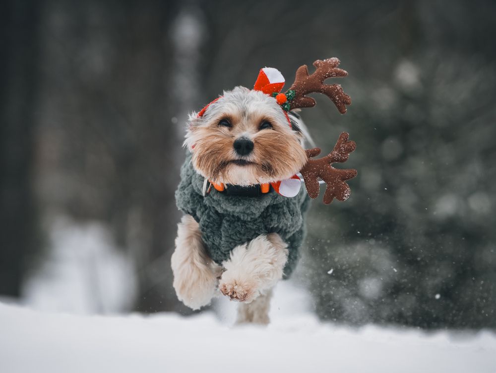 Photograph by Мария Клещенко