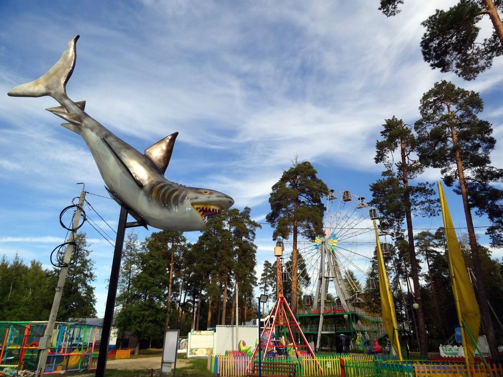 Photograph by Владимир Варава