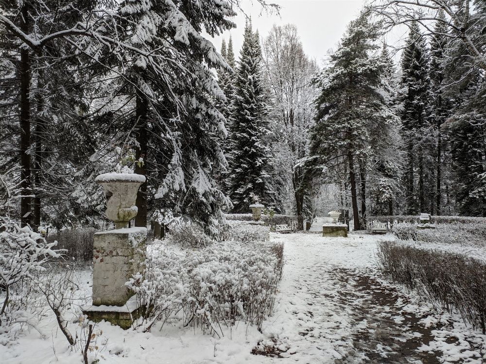 Photograph by Наталия