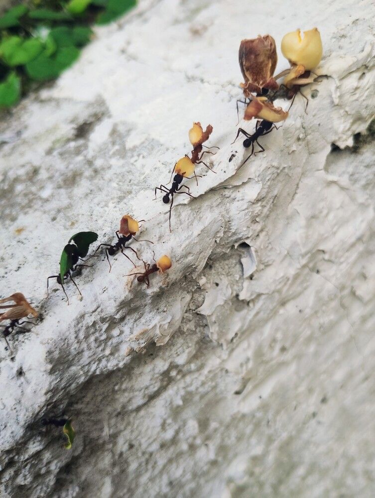 Photograph by Tamar Zisman