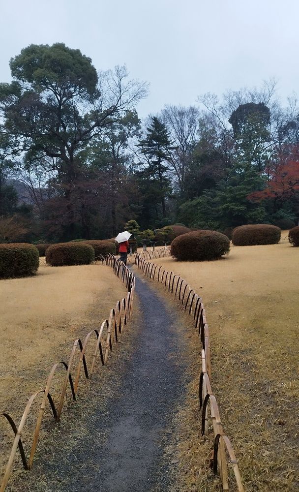 Фотография автора Ella