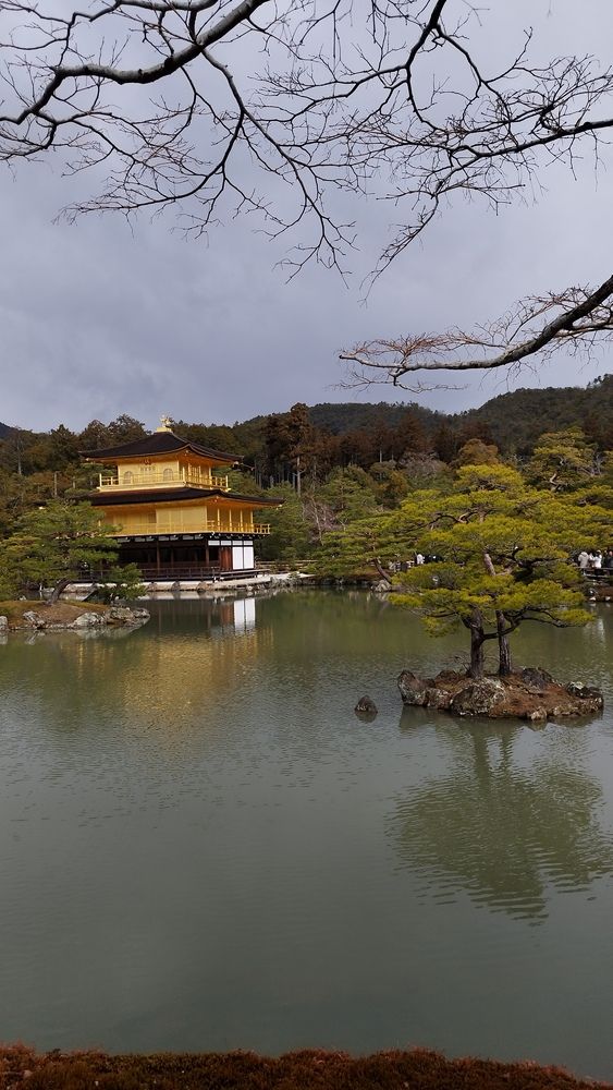 Фотография автора Ella