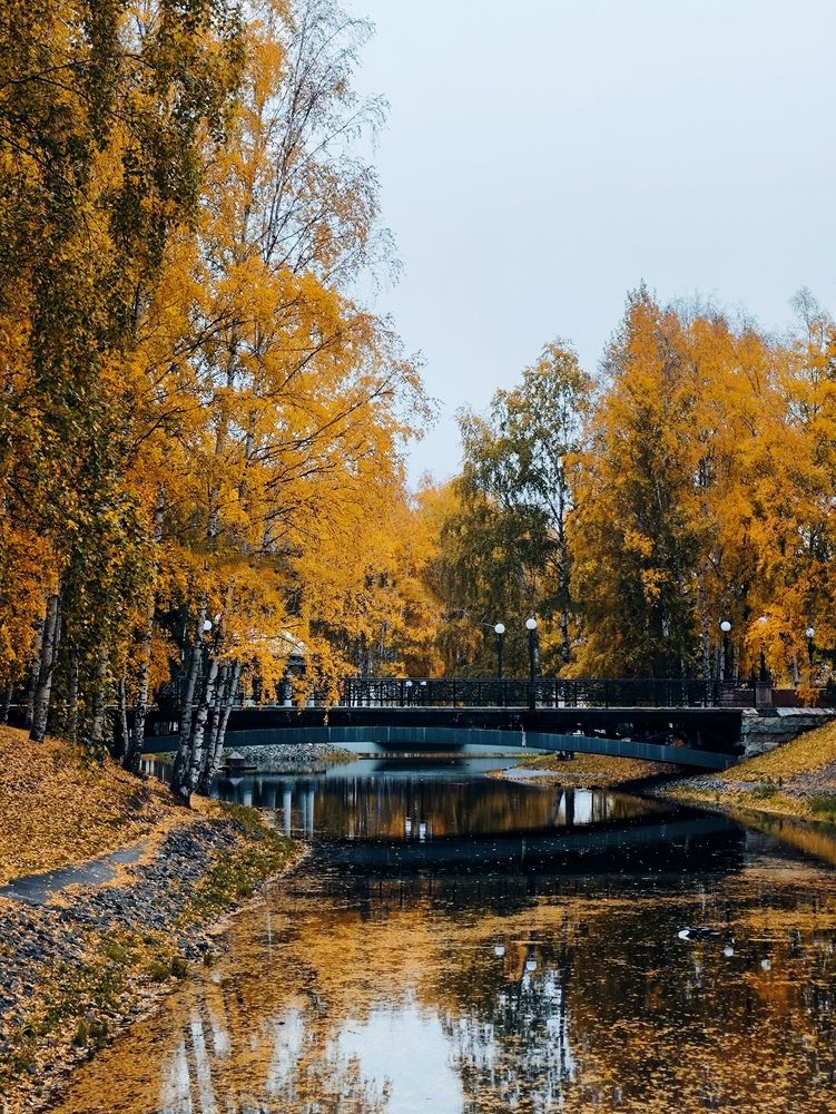 Photograph by Лариса Лысенко