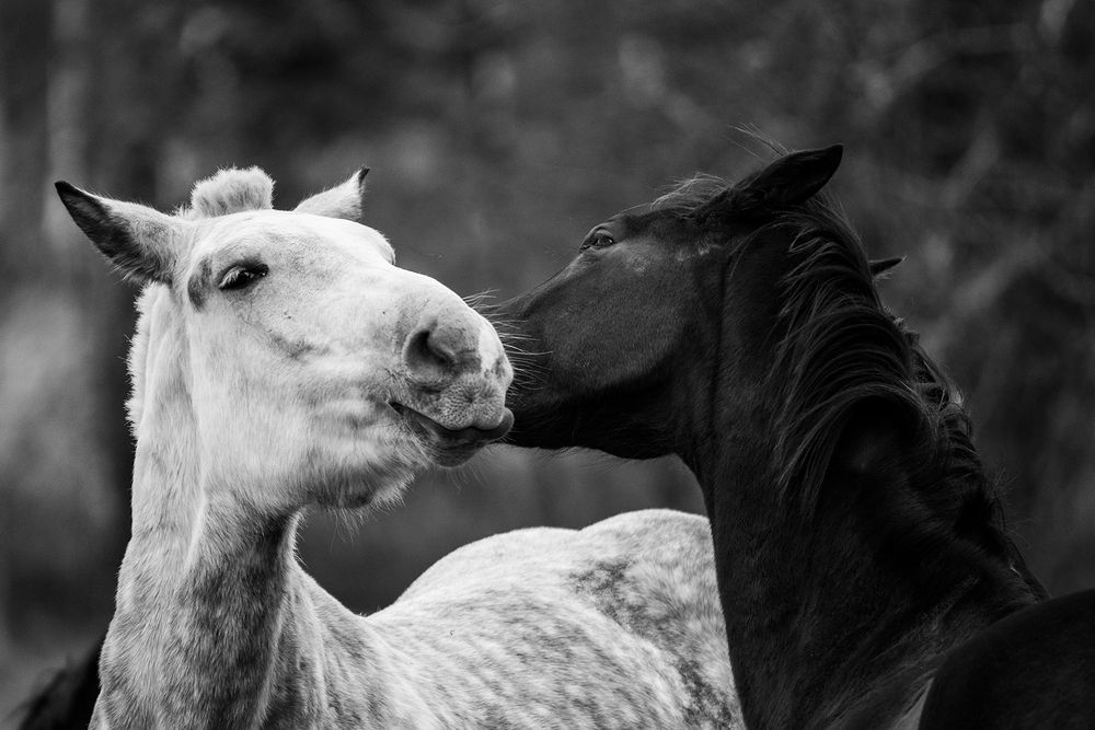 Photograph by Agnese Pastare