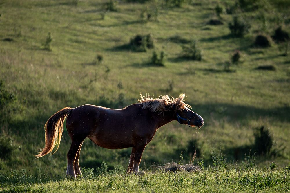 Photograph by Agnese Pastare