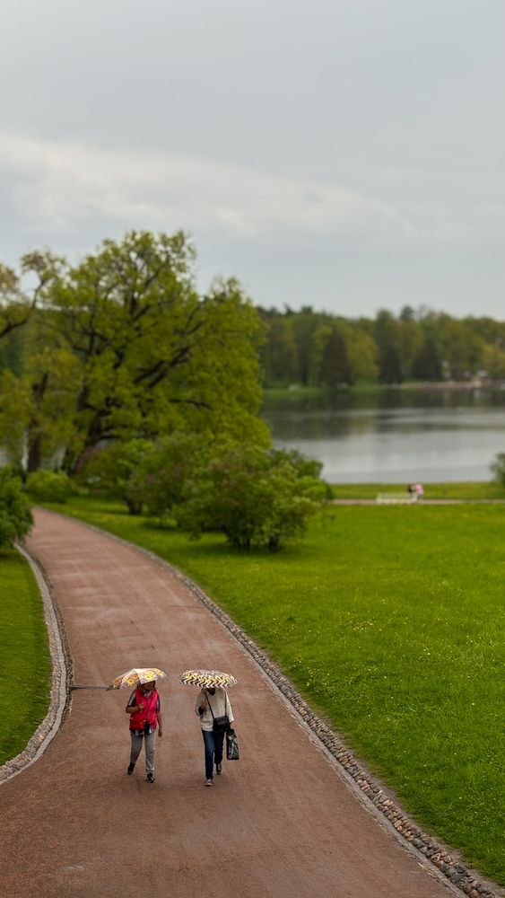 Photograph by Юлия Куклина