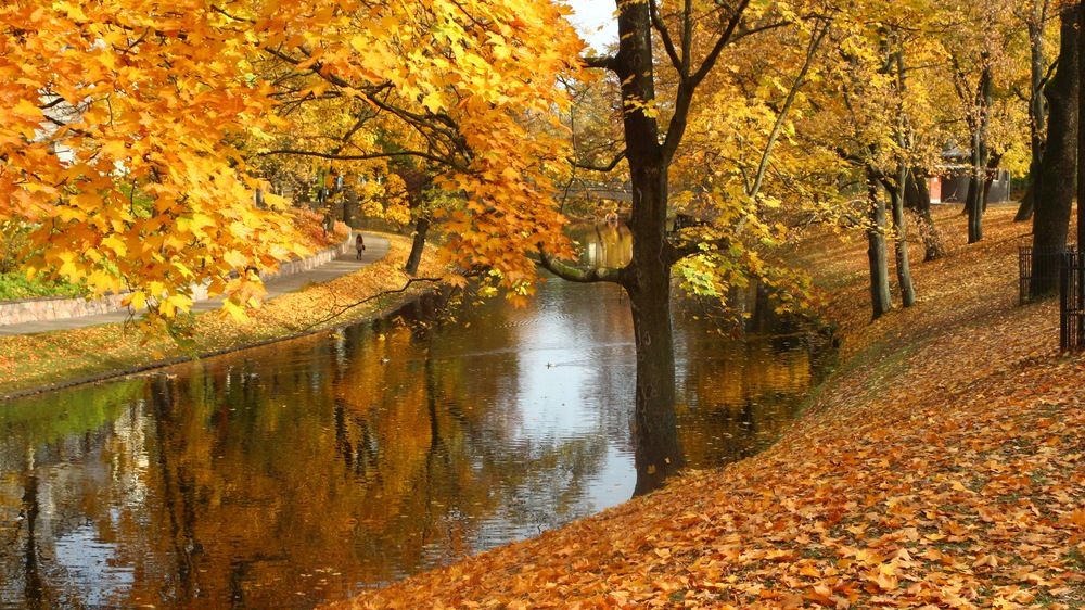 Photograph by Igors Rostikovs