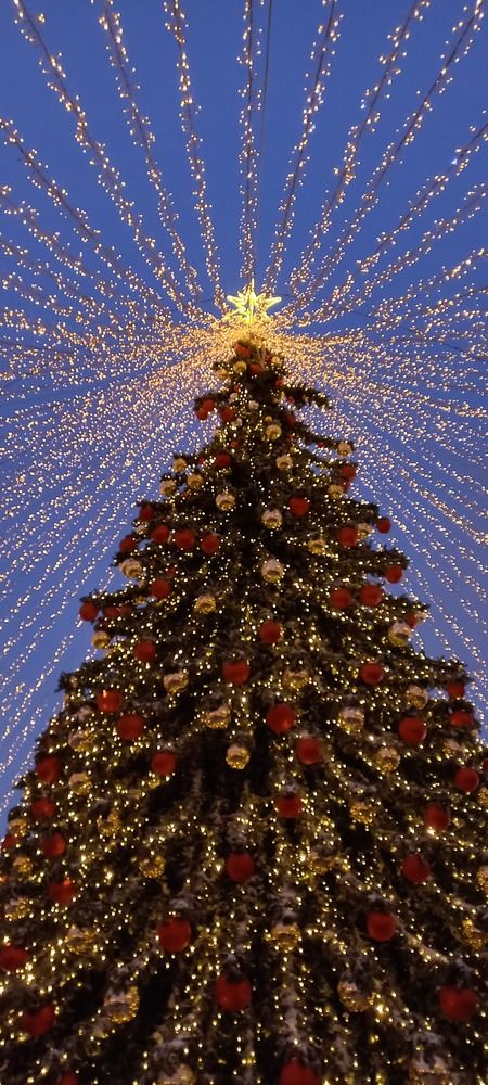 Фотография автора Анастасия Владимирова