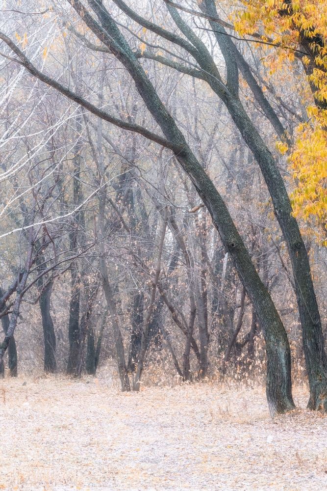 Photograph by Анастасия Глазюк