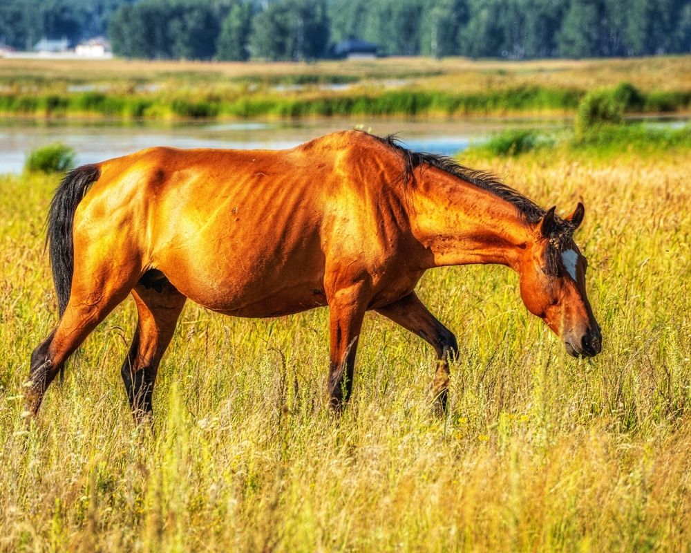 Photograph by Анастасия Глазюк