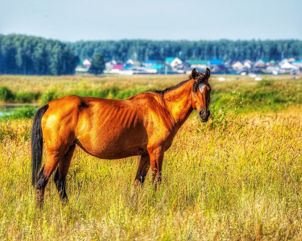 Photograph by Анастасия Глазюк