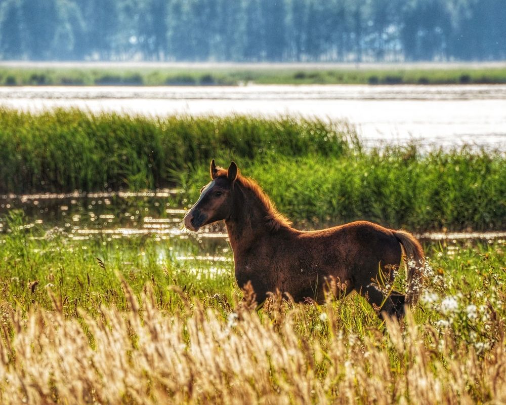 Photograph by Анастасия Глазюк