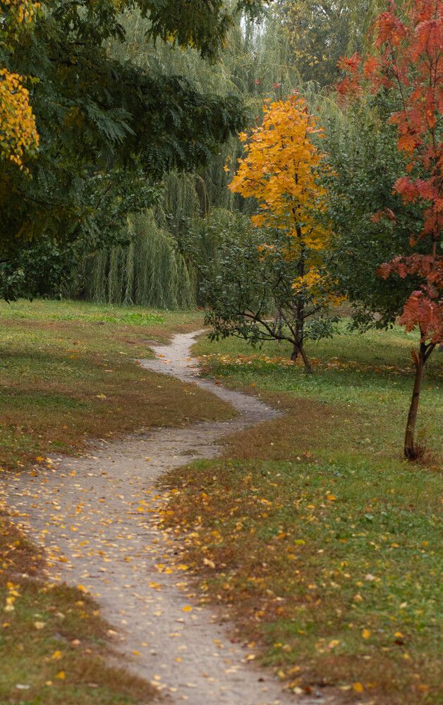 Photograph by Ирина Холодная