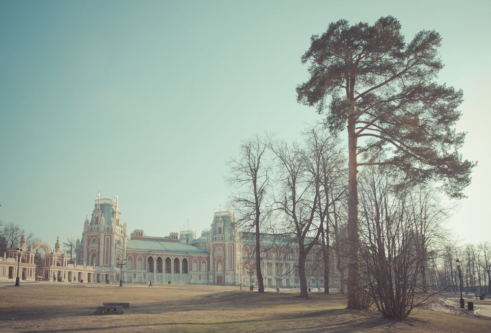 Фотография автора Анна Петина