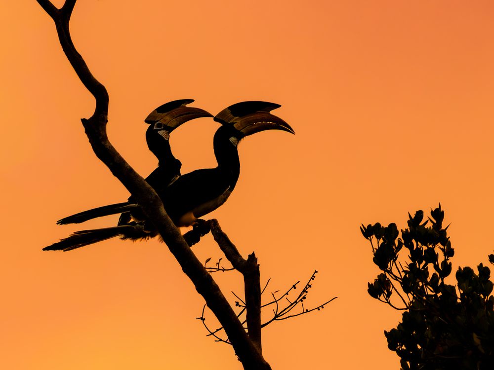 Photograph by Vipin P C